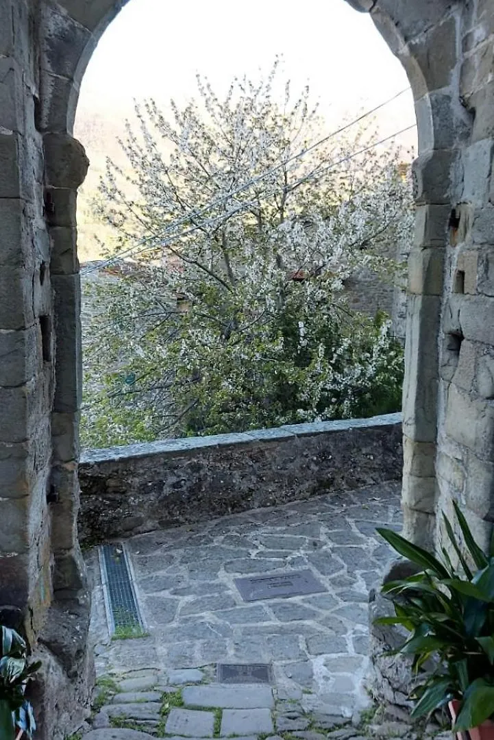 Prázdninový dům Petite Maison Green Aramo Itálie