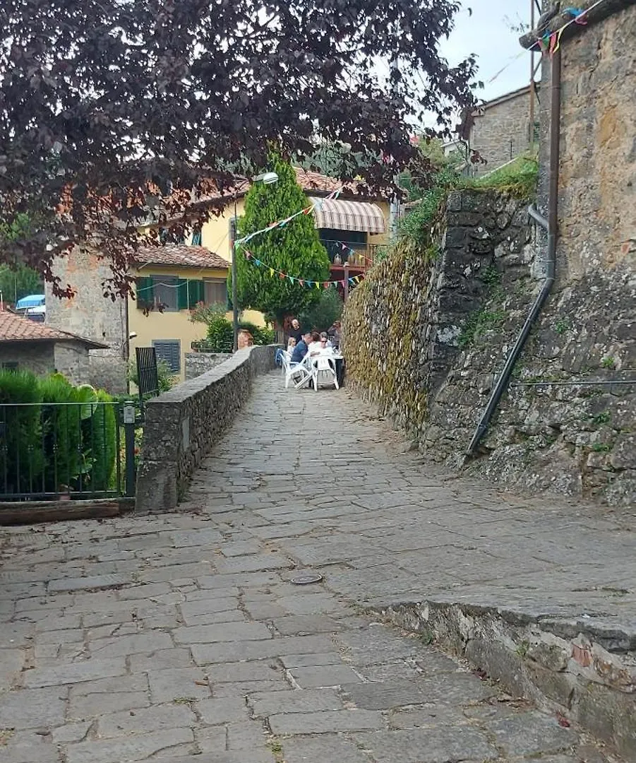 Petite Maison Green Aramo